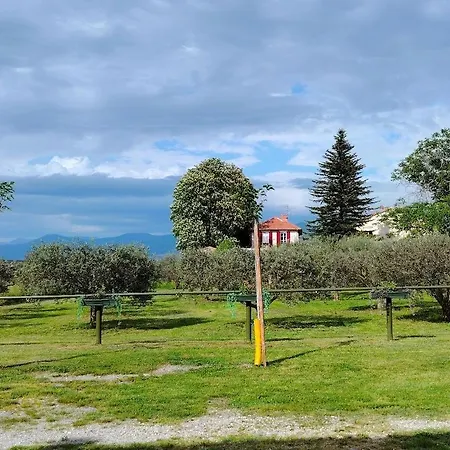 Coqueliquot Domaine De L'annonciade * Les Mées