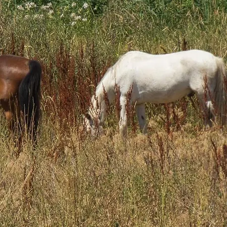 アパート Coqueliquot Domaine De L'annonciade Les Mées