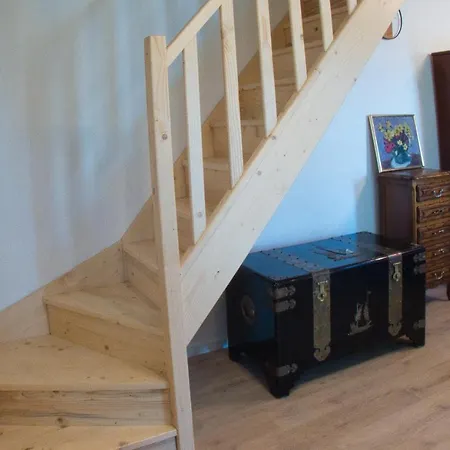 Coqueliquot Domaine De L'annonciade Les Mées