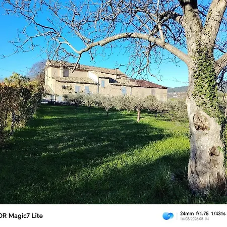 Coqueliquot Domaine De L'annonciade Lejlighed Les Mées
